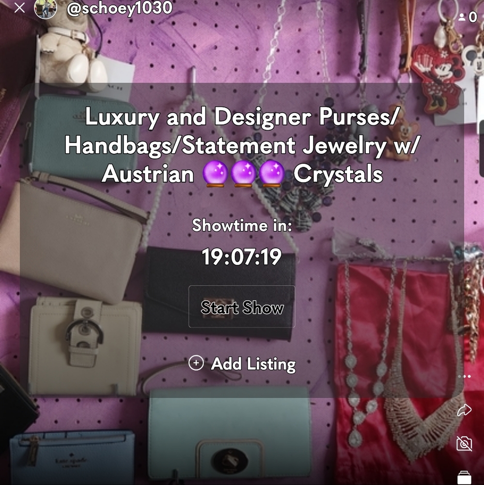 Silent Auction. Designer/Luxury Handbags wallets wristlets